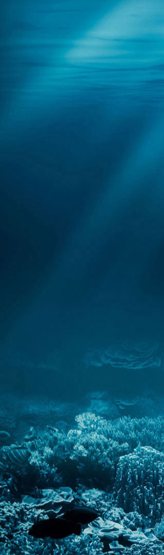 Nooma background